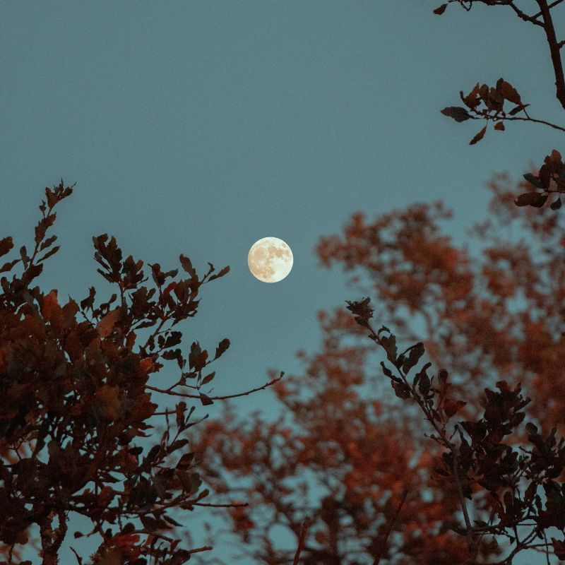 What All The 12 Full Moons of 2024 Are Called And Their Meanings