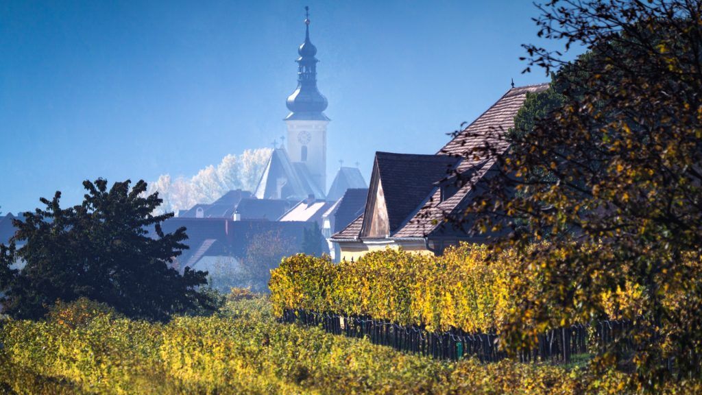 Austrian Wine: Redemption in a Rough Year