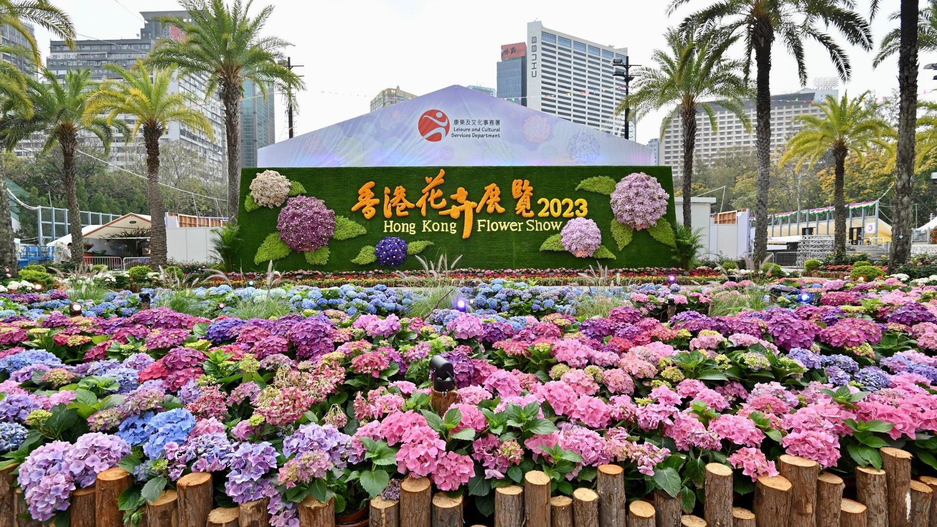 hong kong flower show