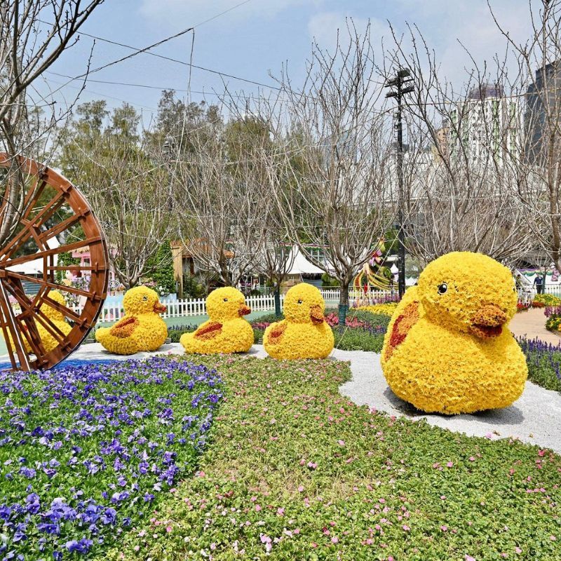 Hong Kong Will Bloom This March With The Return of The Annual Flower Show