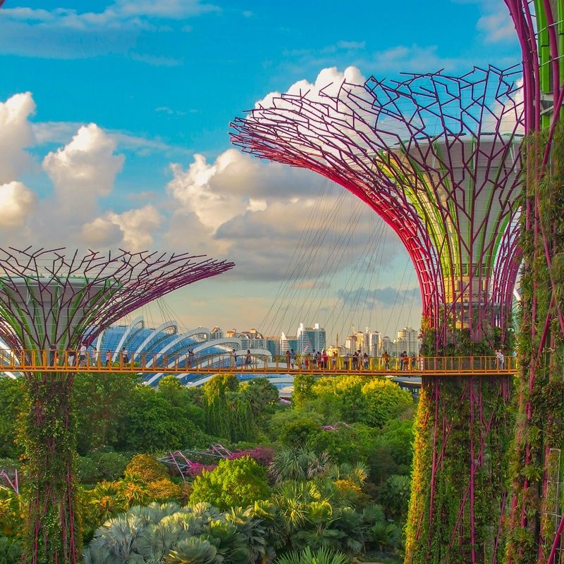 Hong Kong, Singapore And Other Places With Rising Ultra-High-Net-Worth Individuals