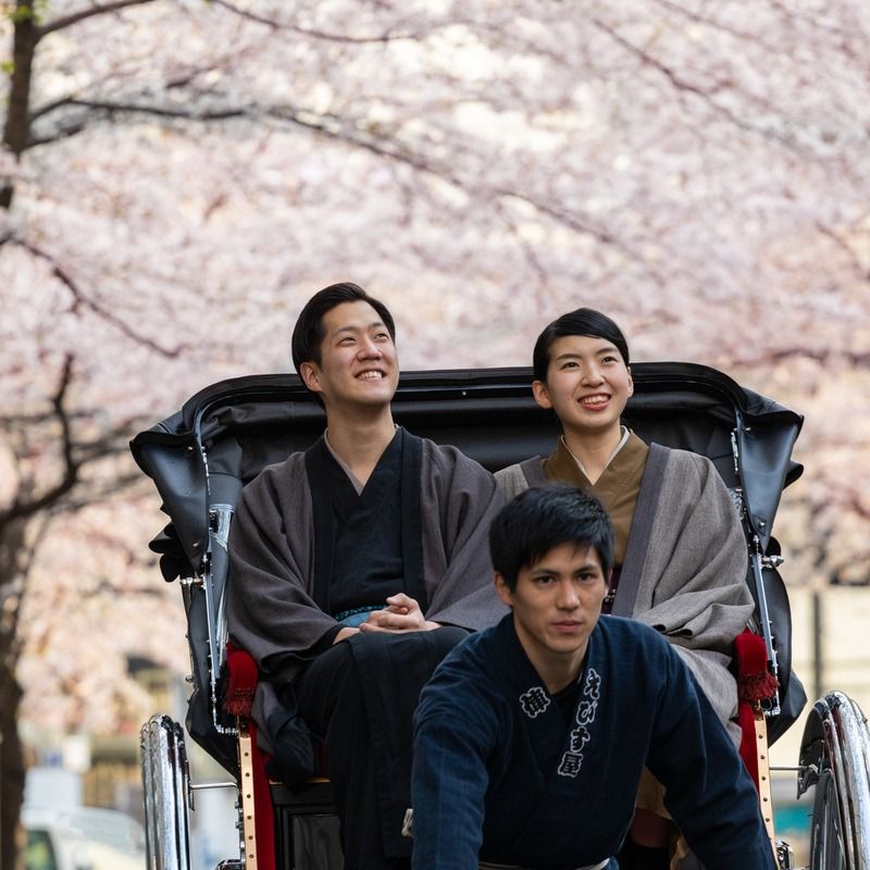 Go Cherry Blossom Spotting in Honshu Japan for Sakura Season in 2024