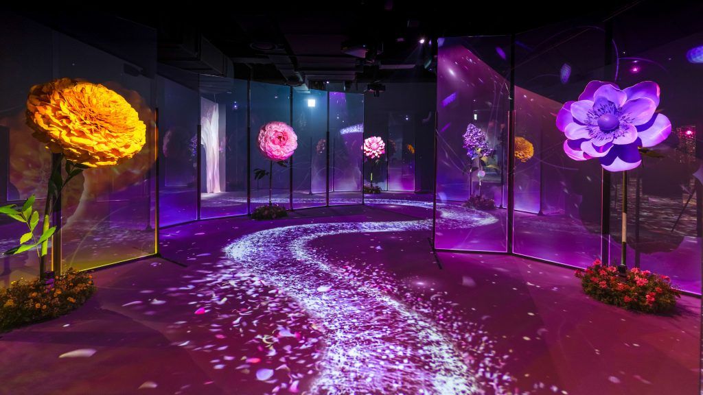 naked-flowers-interactive-art-