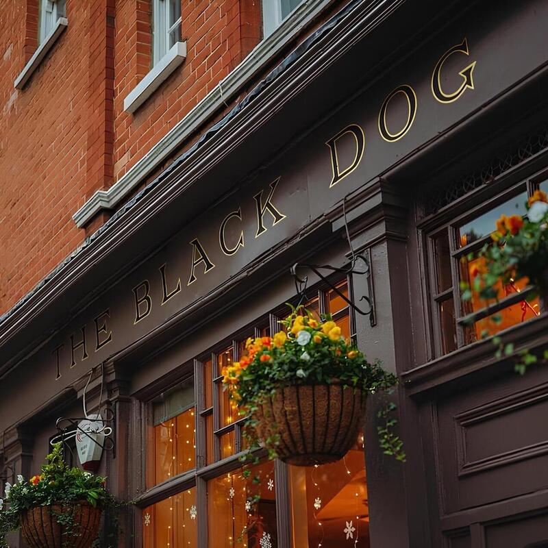 Swifties Flock to The Black Dog, a London pub named in <i>The Tortured Poets Department</i>