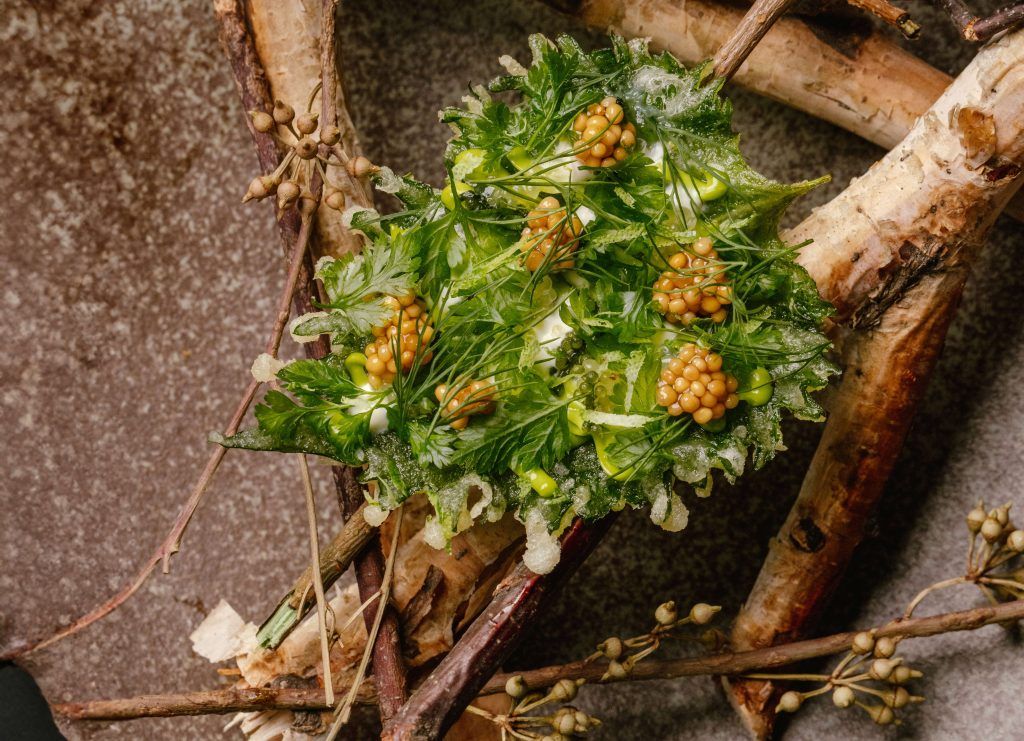 Eat Your Greens: Michelin Green Star Chefs Share Their Thoughts of Sustainable Dining