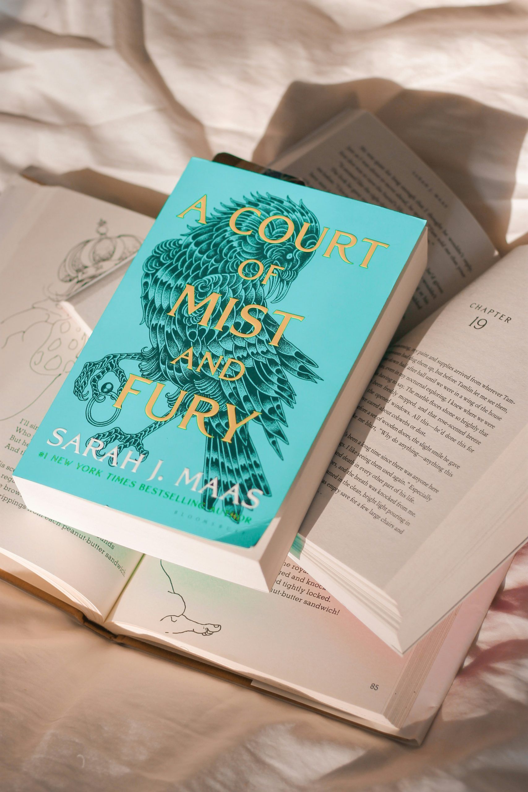 A Court of Thorns and Roses What Makes the Series a Literary Sensation