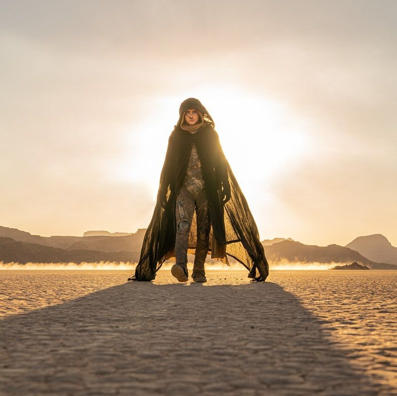 The Highest-Grossing Movies of 2024 So Far: <i>Dune: Part Two</i> and Others