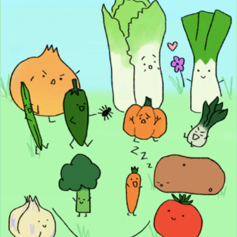 How to Take the Veggie ID Personality Test Viral on Instagram