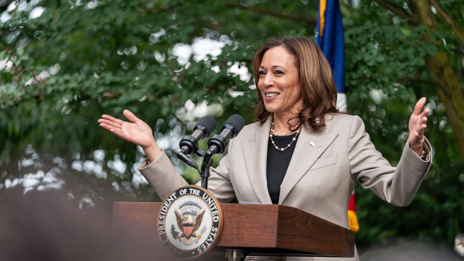 Kamala Harris Net Worth: Calculating the Wealth of the Potential Future US President