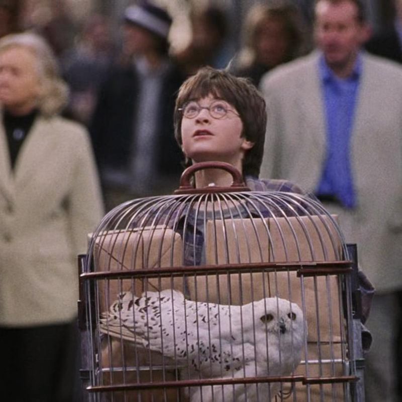 Everything to Know About Hogwarts Day and How to Celebrate it in 2024