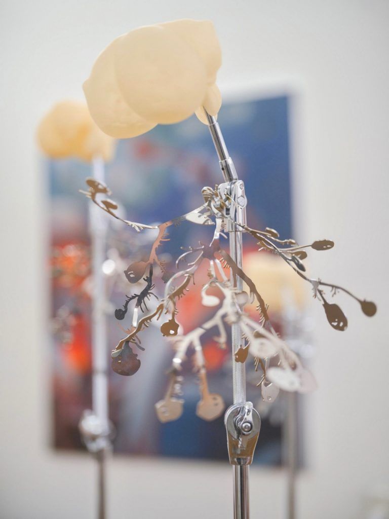 Meeson Pae Permeate, 2024, Anat Ebgi, Installation view