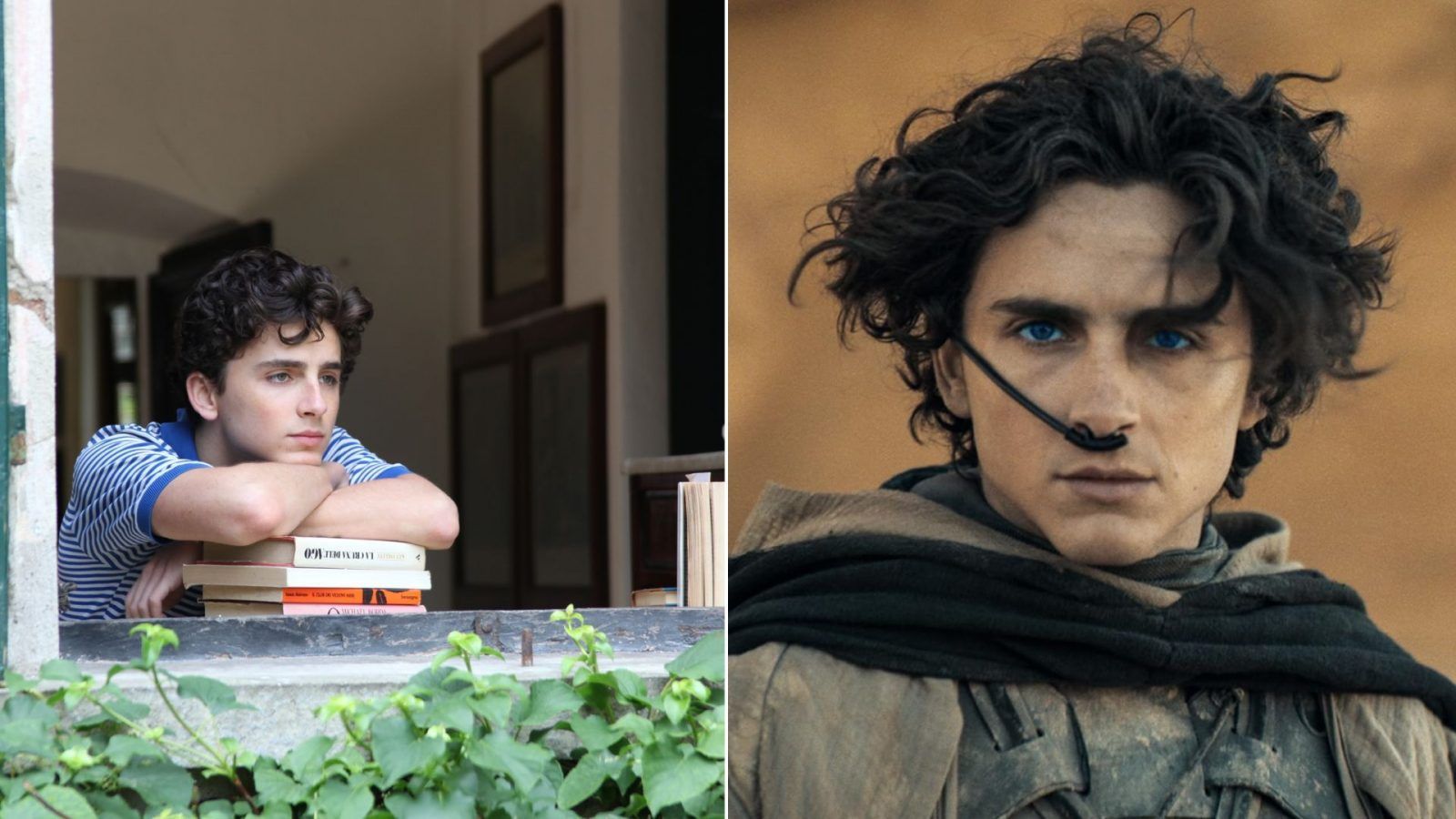 Best Timothée Chalamet Movies According to IMDb - PrestigeOnline Hong Kong
