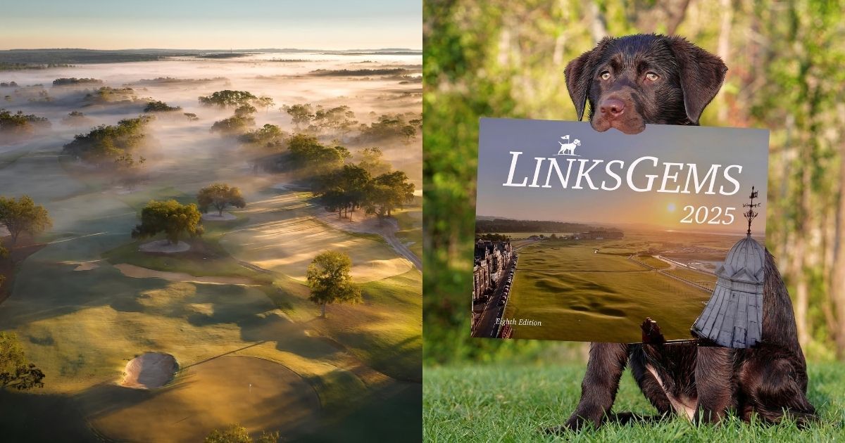 Swings and Snaps: The Best Golf Accounts to Follow on Instagram