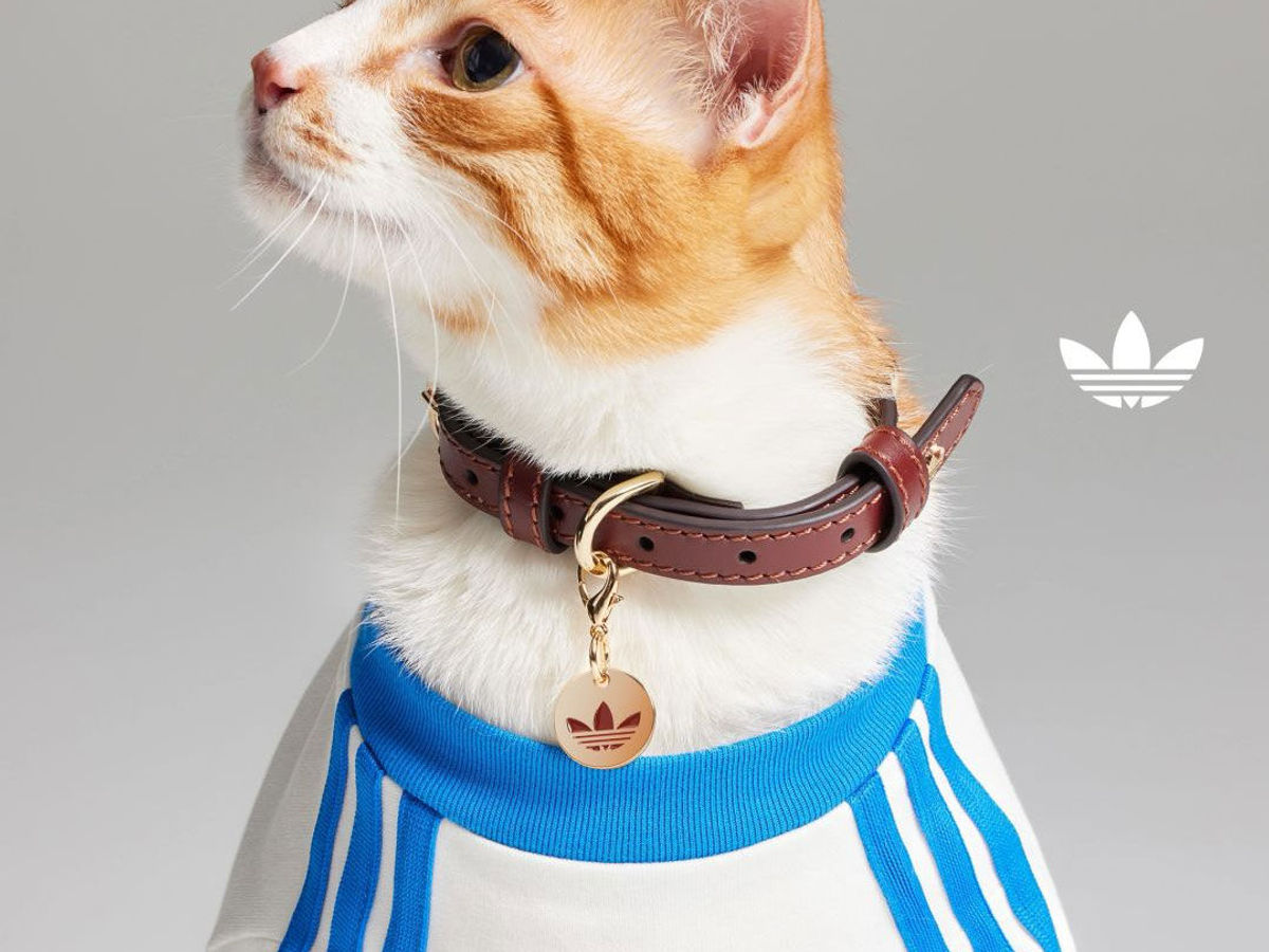 adidas Originals Pet Collection – PrestigeOnline Hong Kong