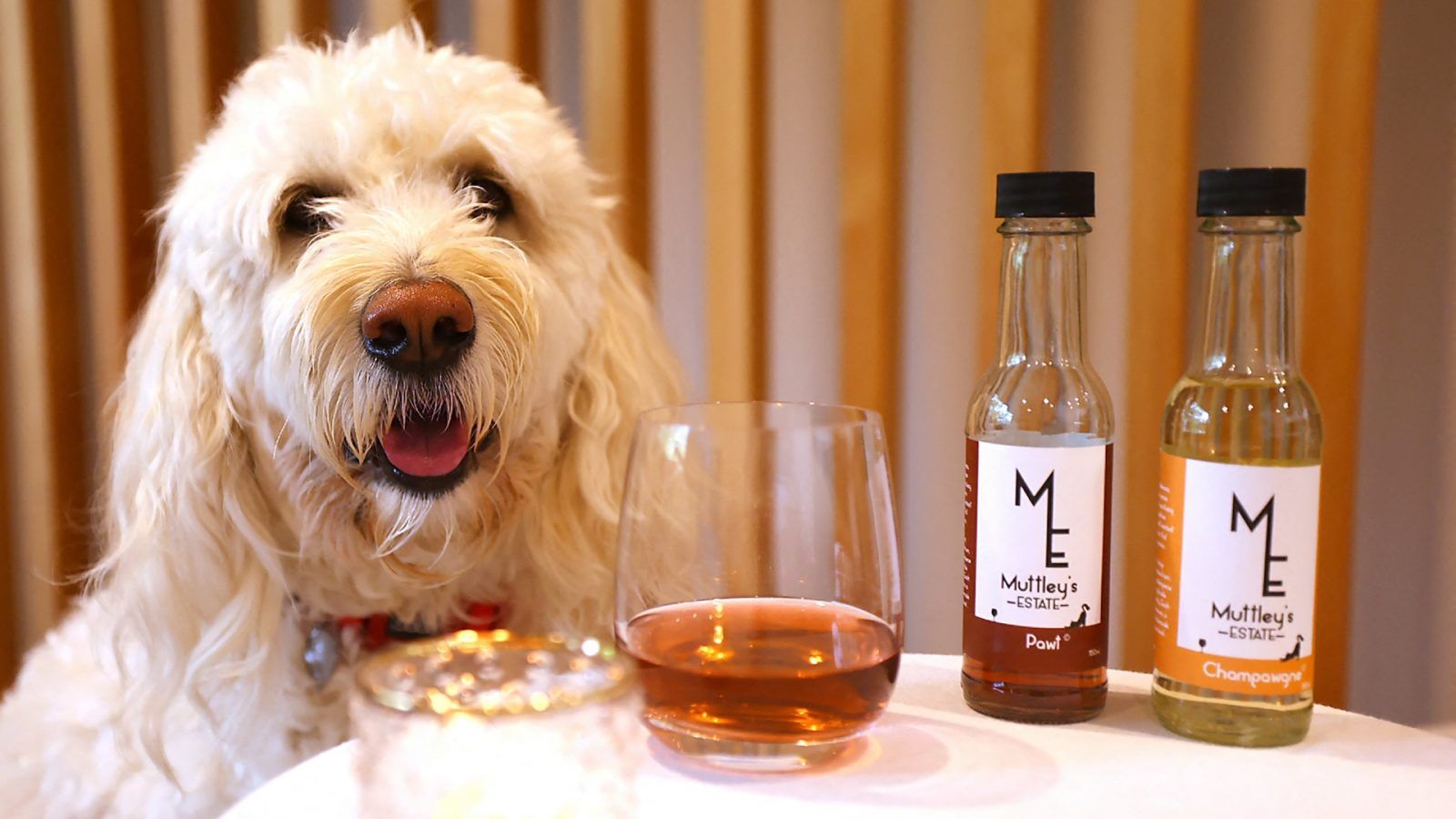 Muttley's Estate introduces non-alcoholic wine for pets