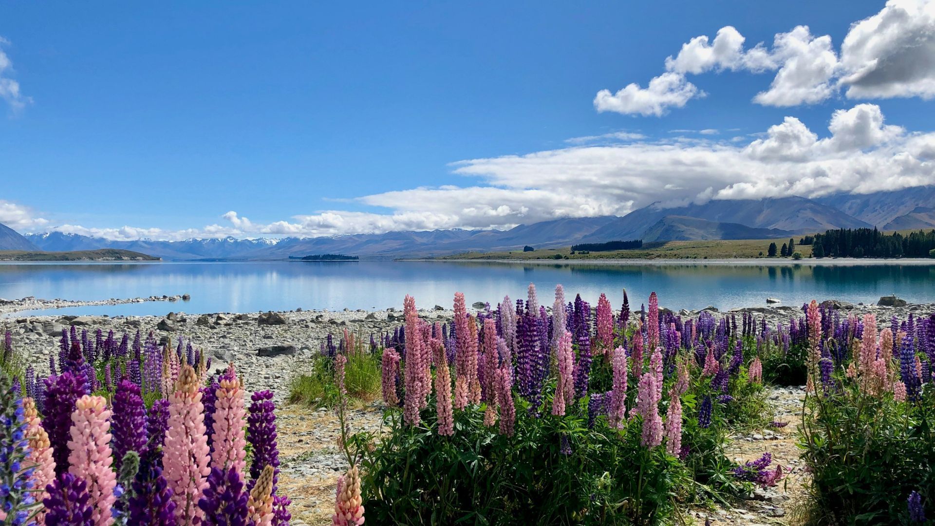 The Most Beautiful Places in New Zealand to Visit – PrestigeOnline Hong ...