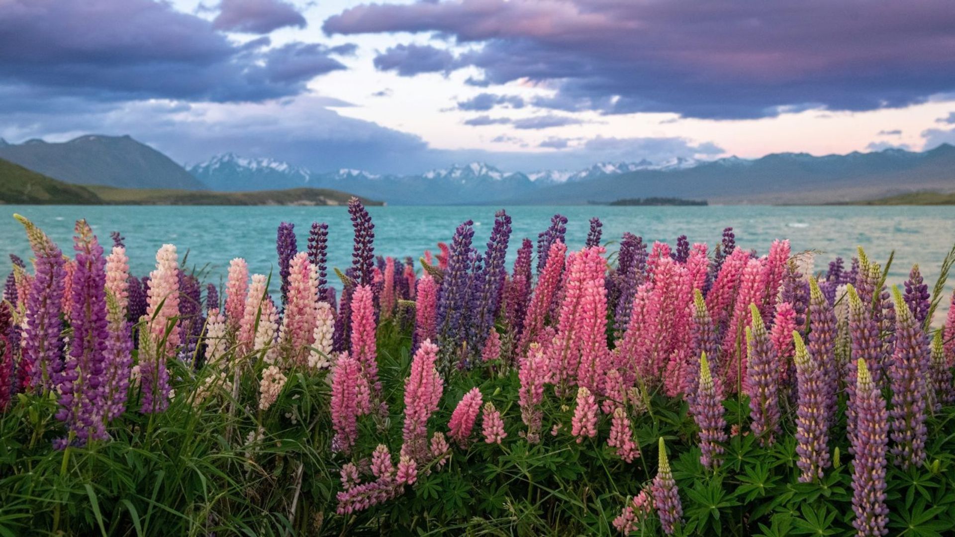 The Most Beautiful Places in New Zealand to Visit – PrestigeOnline Hong ...