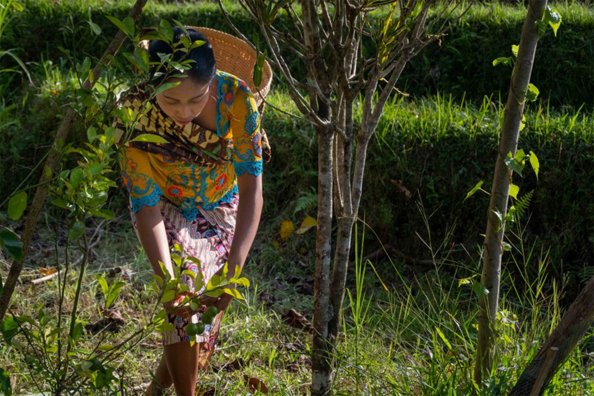 COVID19 What Have Hotels and Resorts Been Up To, You Ask? Prestige