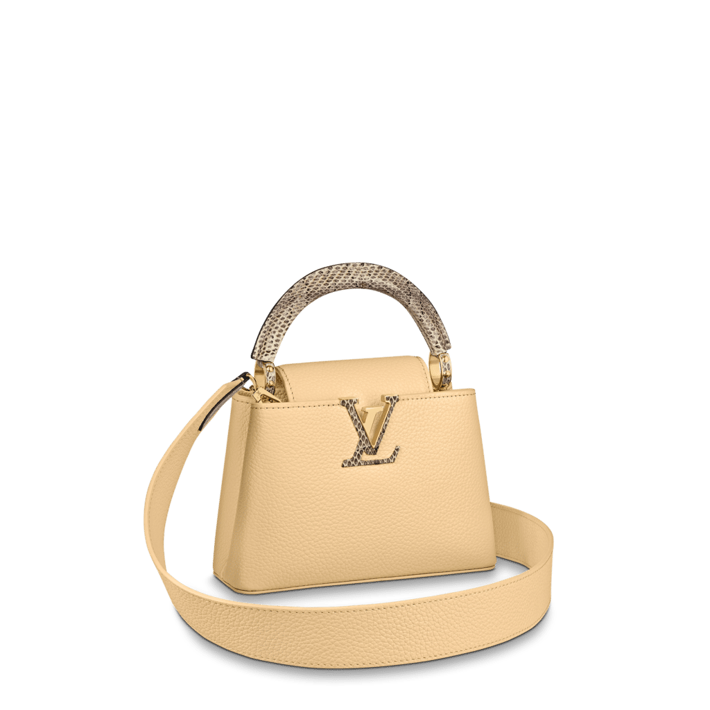 Louis Vuitton Ayers Trimmed Taurillon Capucines GM