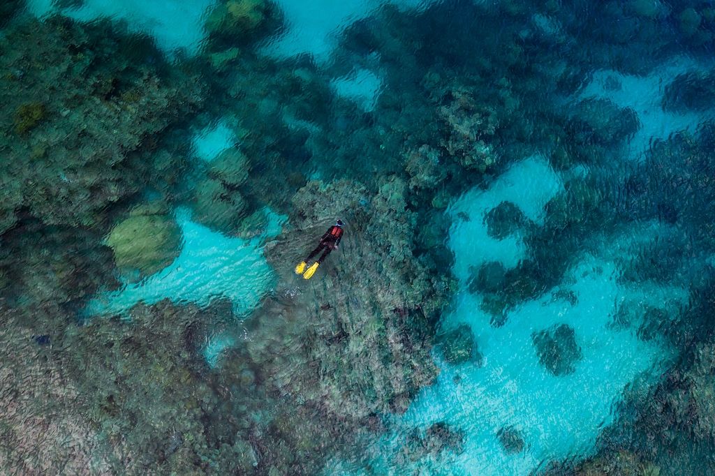 Rolex Presents Perpetual Planet: Heroes of the Oceans