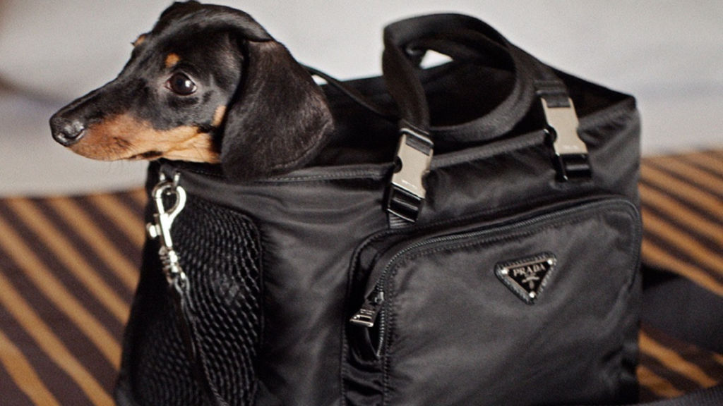 Nylon handbags à la Prada are back in style