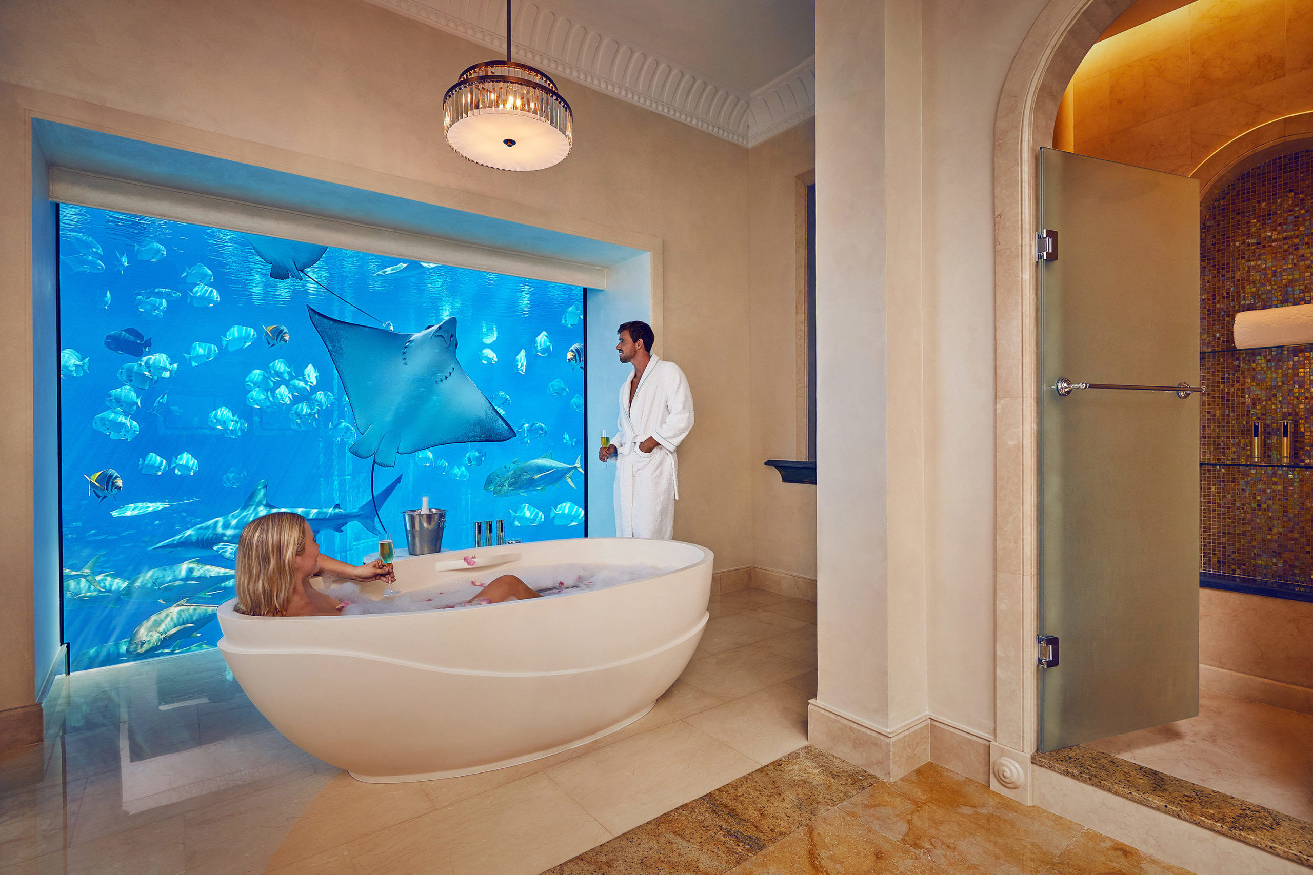 Отель Atlantis the Palm Dubai