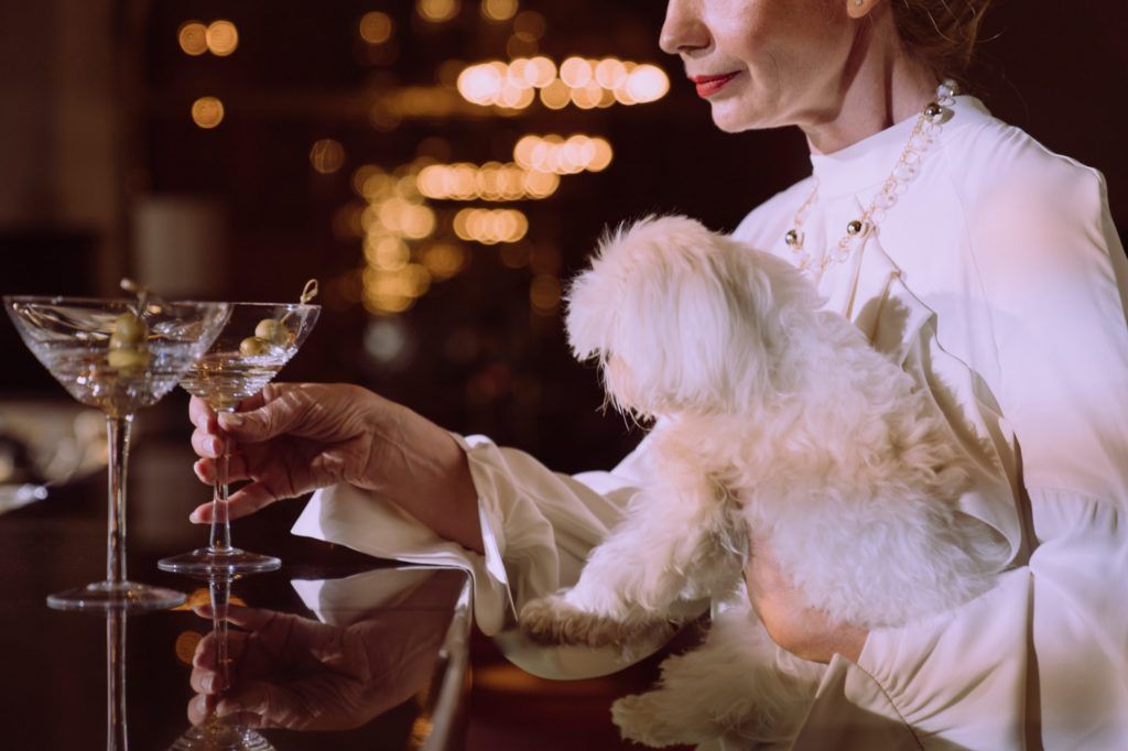 8 of the world’s most luxurious pet hotels