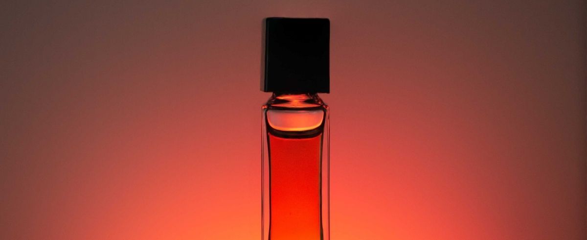 Discover the best perfumes for both men and women here