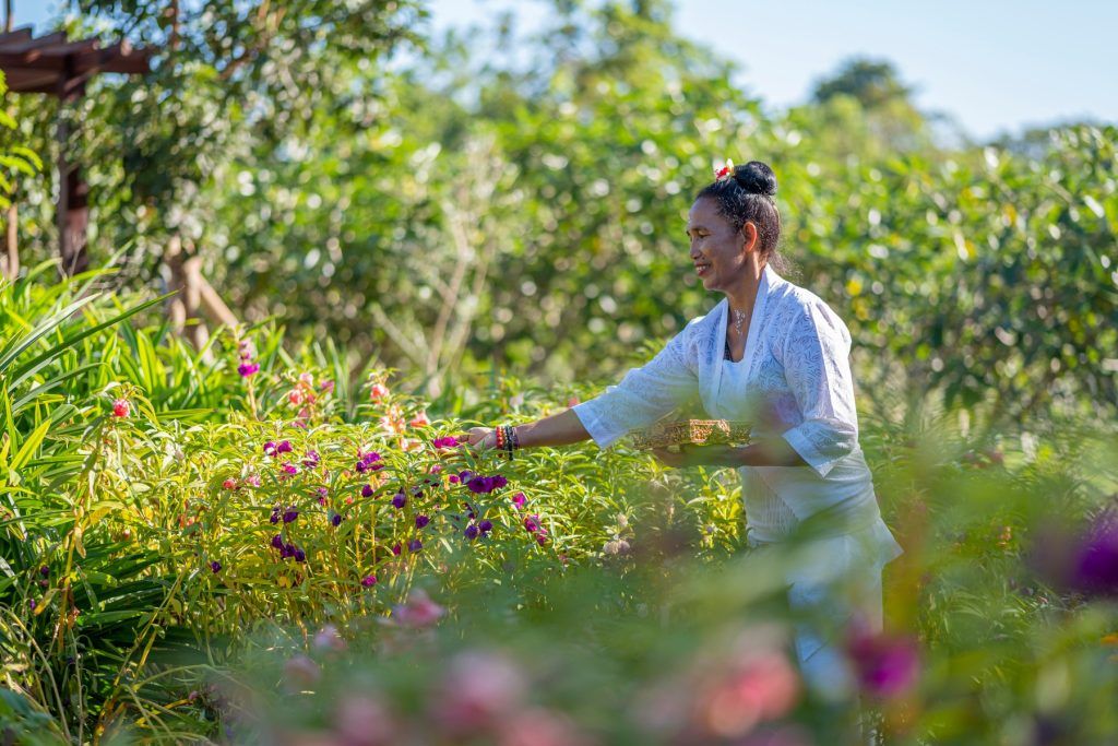 AYANA Farm returns to Bali’s hospitality scene with new, inspiring offerings