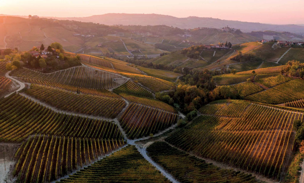 The beauties and the beasts of Barolo and Barbaresco wine