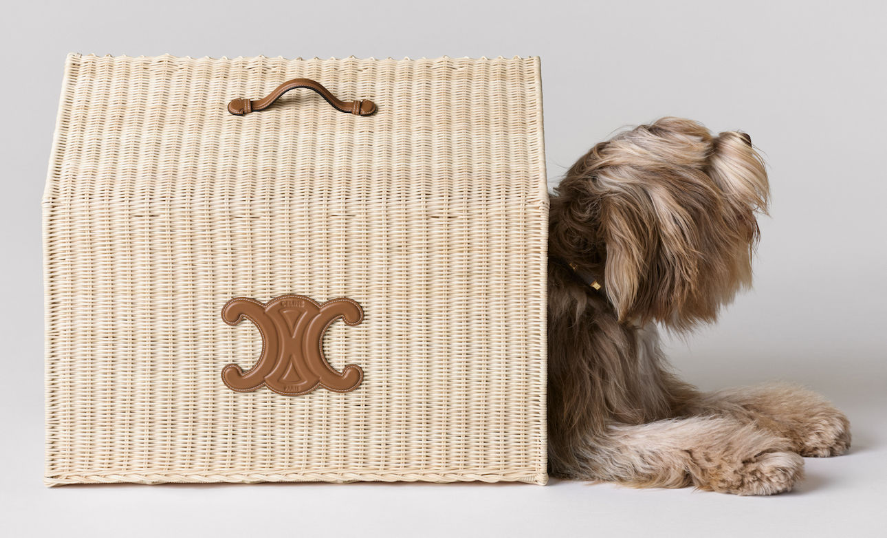Celine introduces new dog accessories for Winter 2023