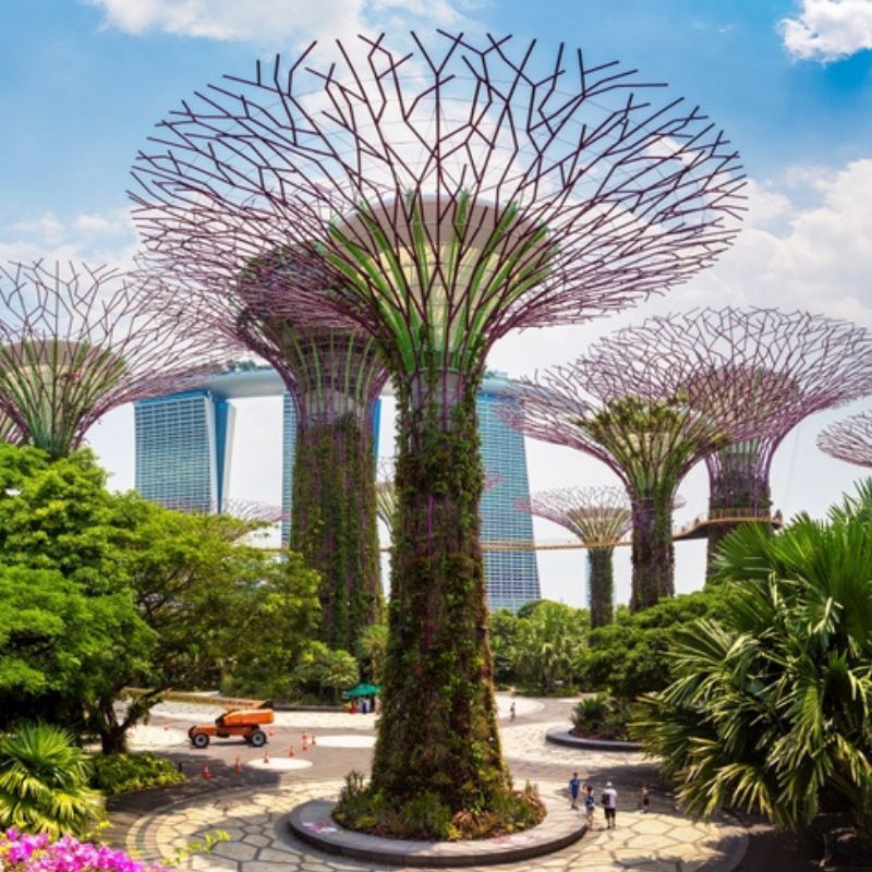 Most photographed! Singapore’s Gardens By The Bay crowned Instagram’s favourite
