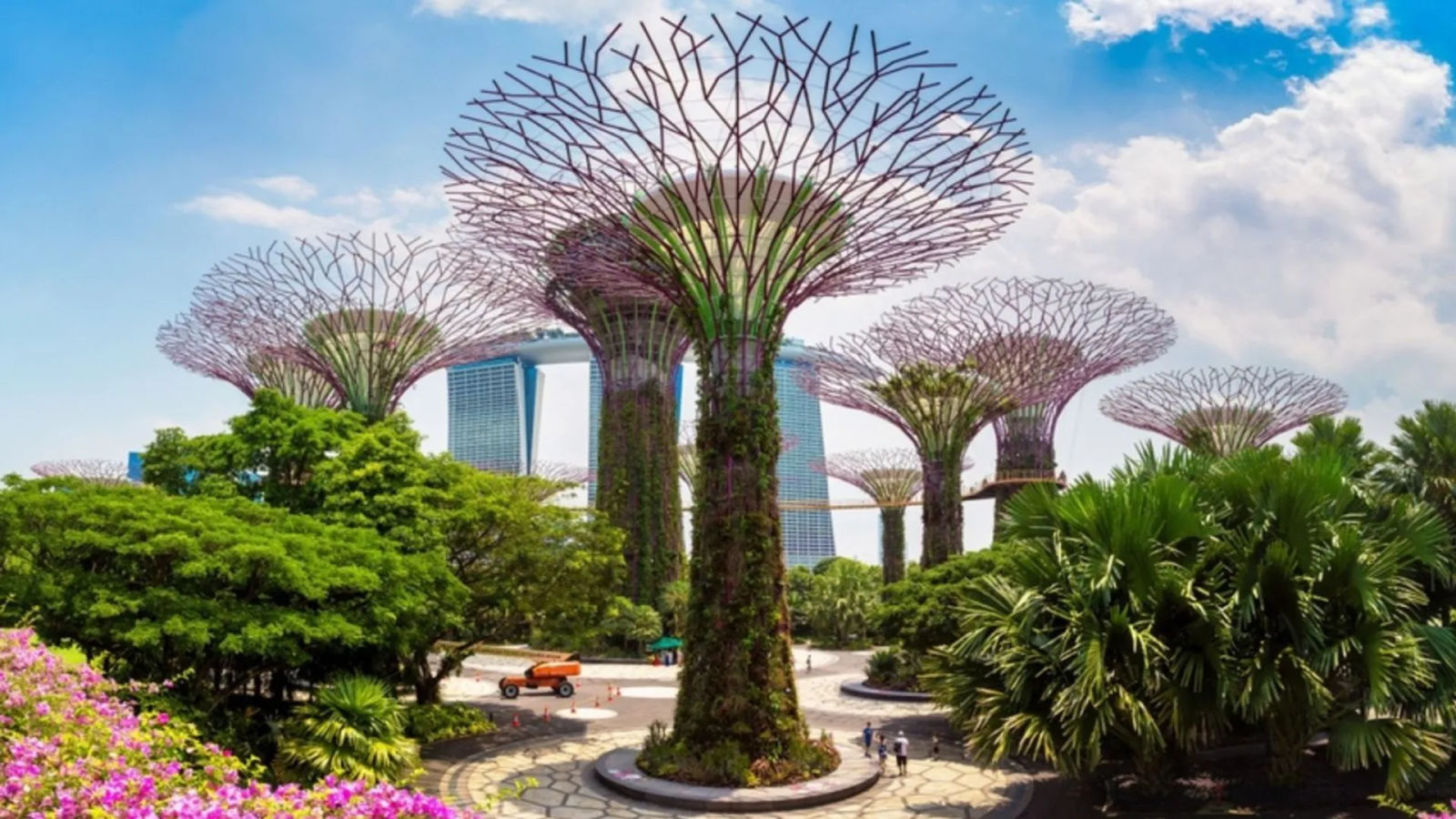 Most photographed! Singapore’s Gardens By The Bay crowned Instagram’s favourite