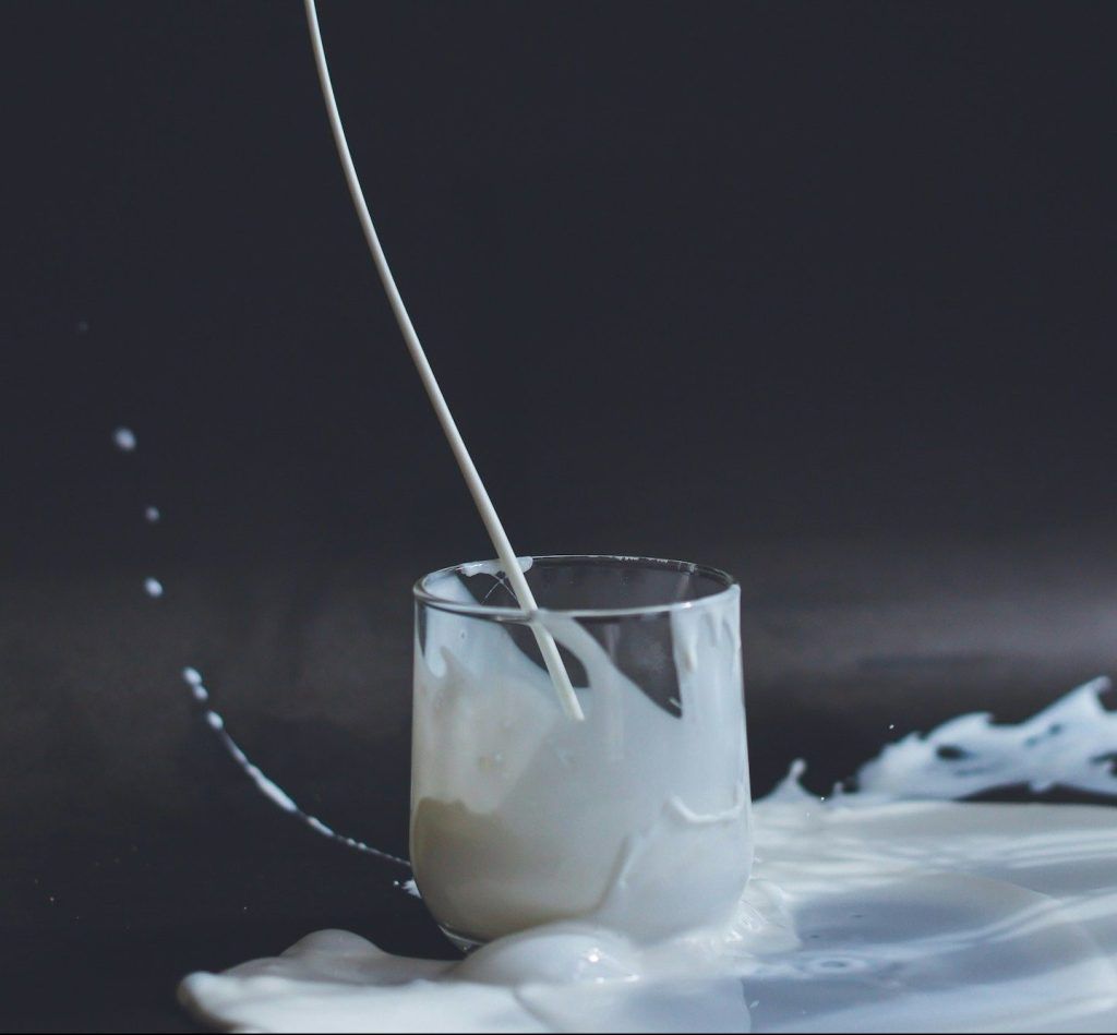 The top 8 calcium-rich foods to include in your diet to maintain healthy bones