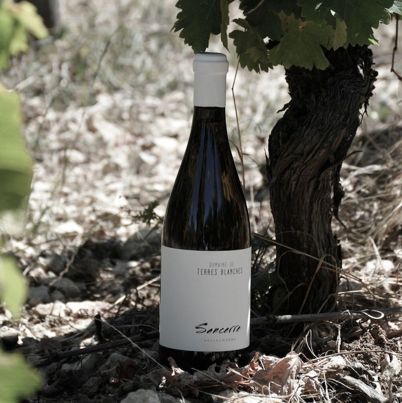 Taylor Swift has made Sancerre wine the most popular new drink