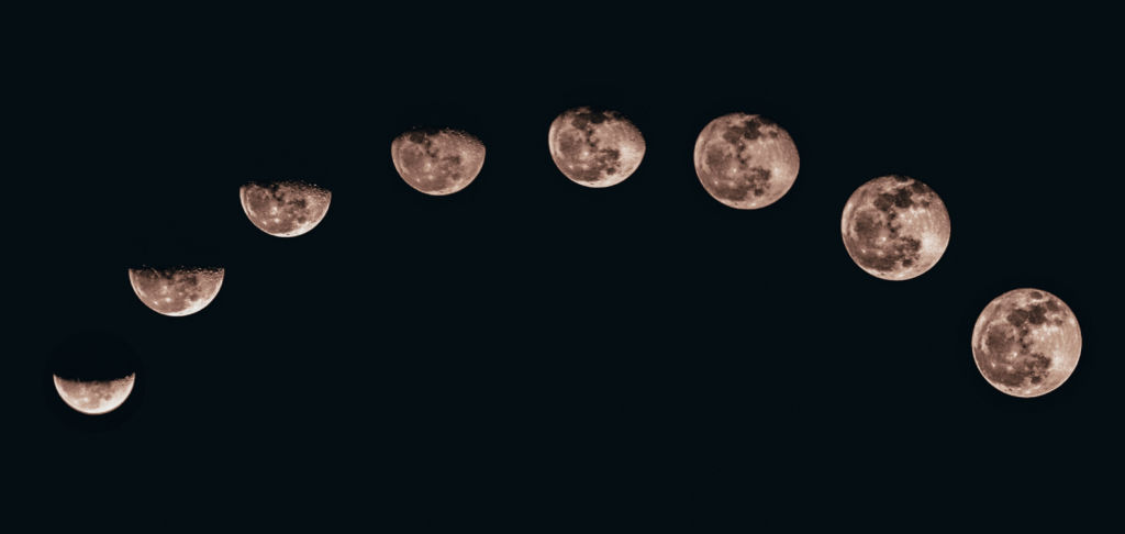 The ‘world’s best restaurant’ serves food according to the moon phases