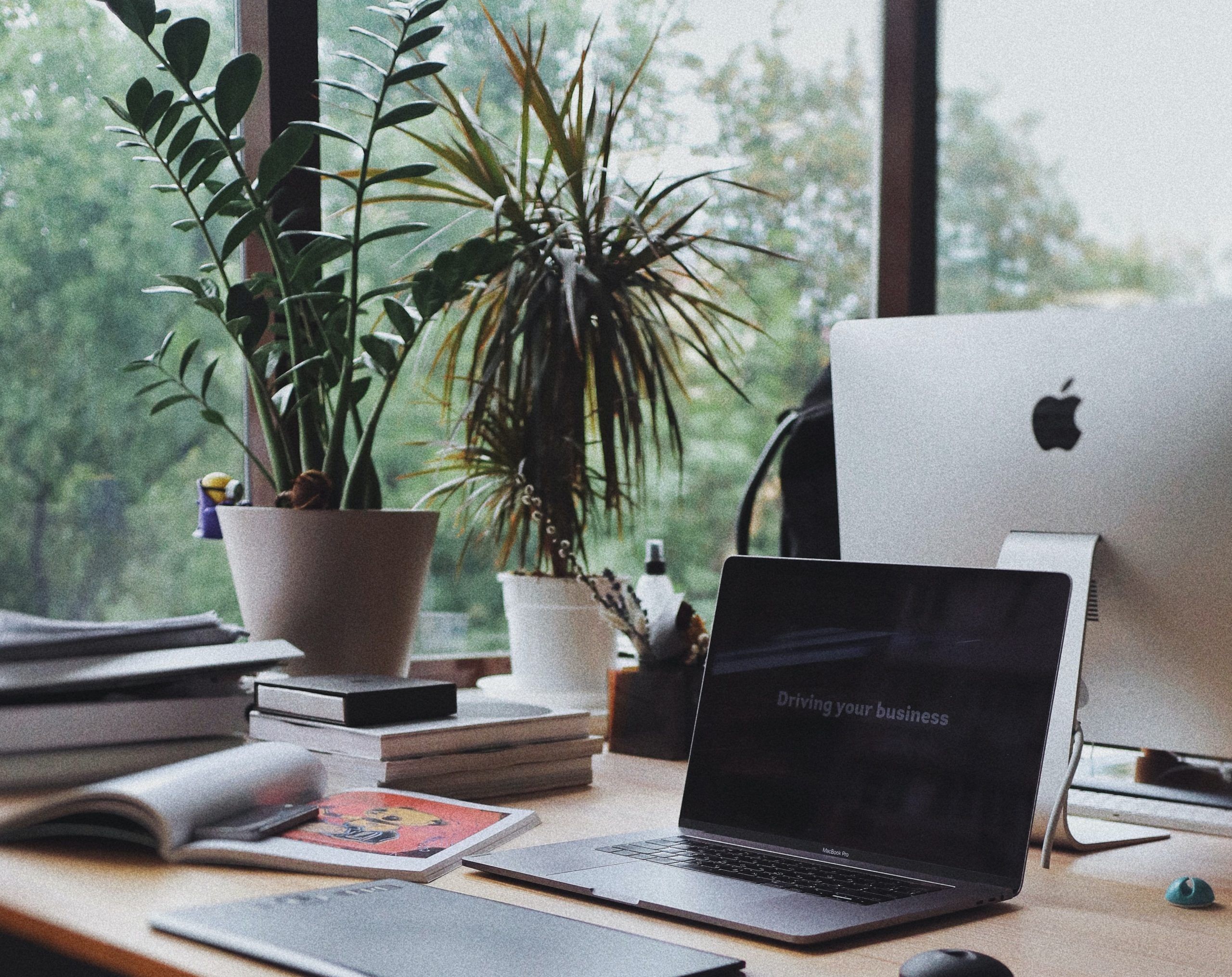 Enhance productivity with these desk plants for your work space