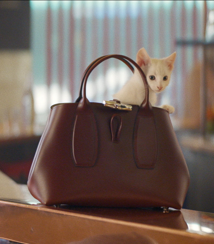 Now trendy: Watch a film by Longchamp set in Paris, starring the Roseau