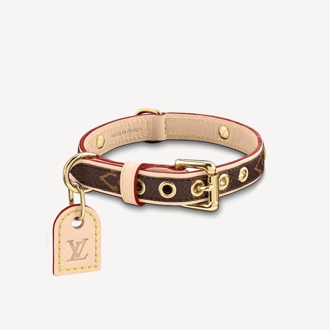Louis Vuitton Baxter dog collar
