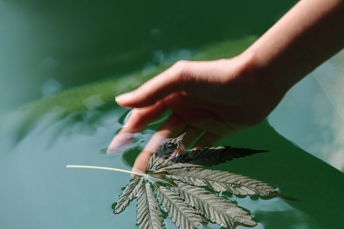 cannabis spa thailand