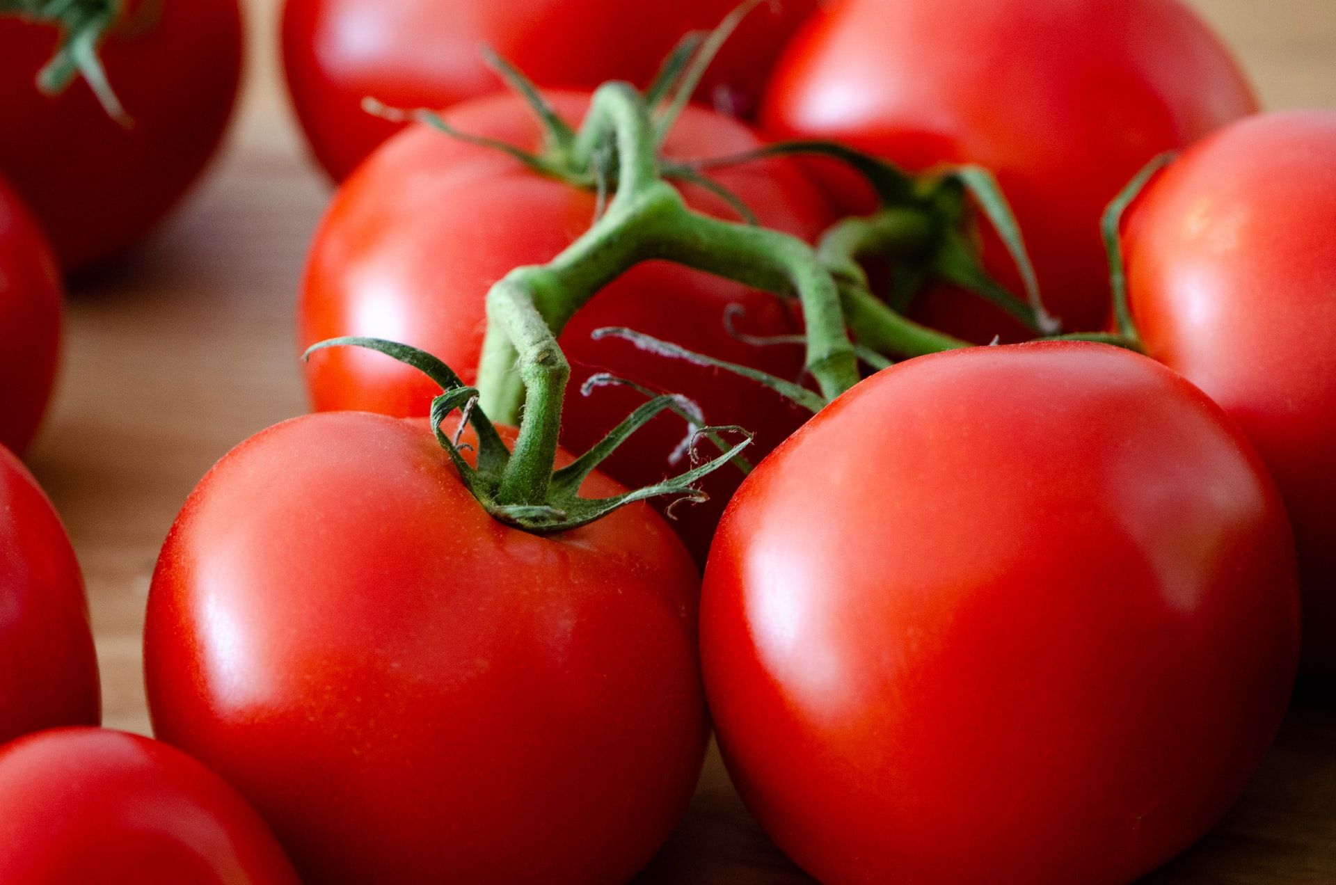 edible plants to grow
