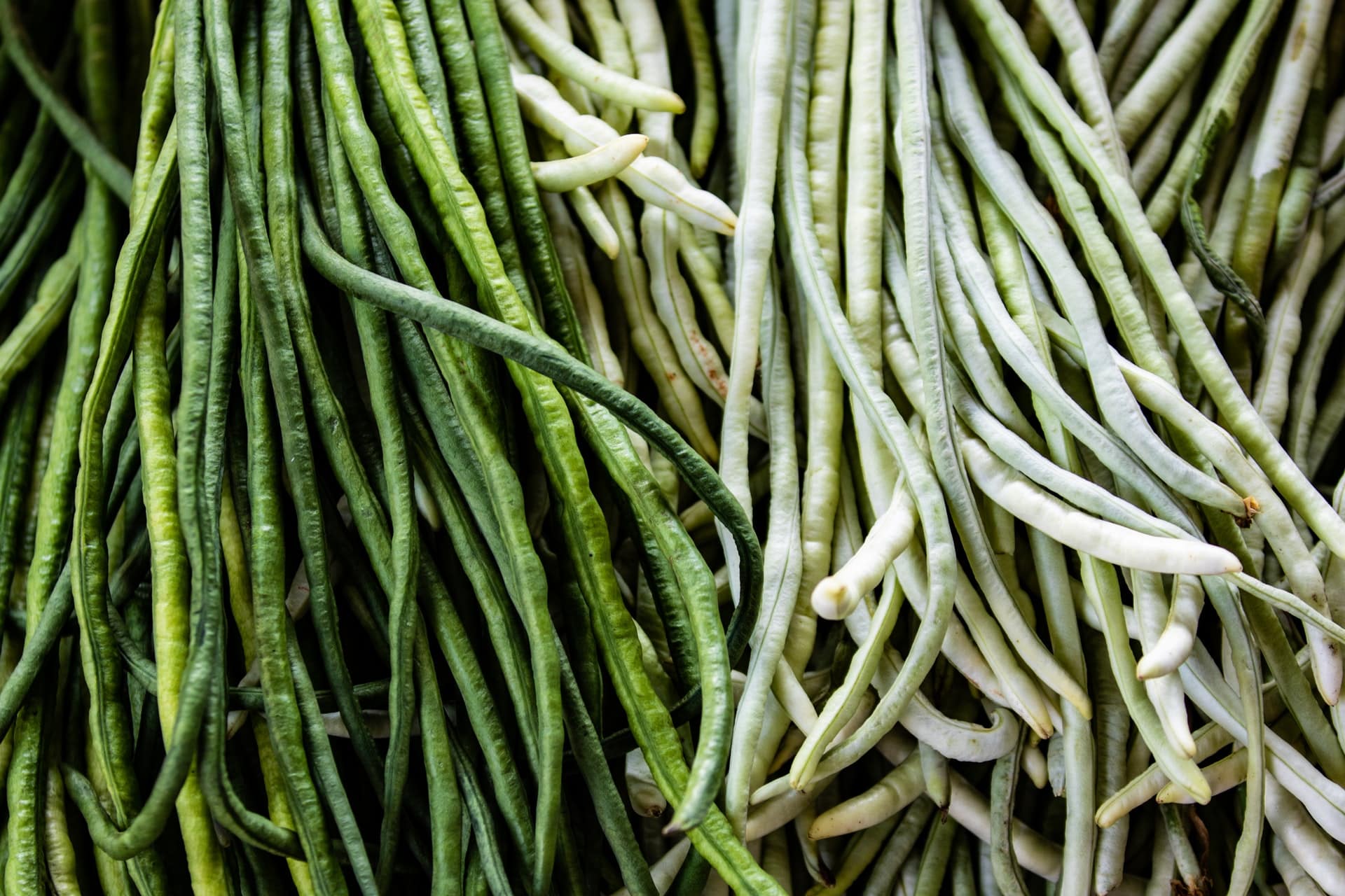 Pole Beans