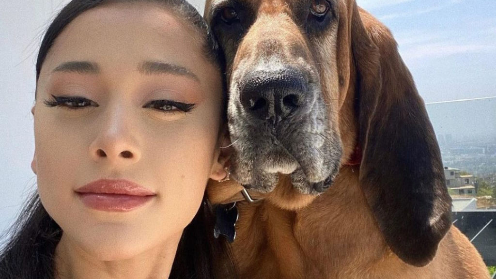 10 celebrities you might not have known are vegans