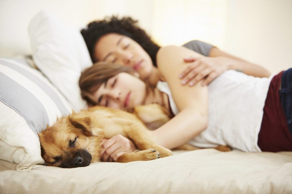 Both you and your pet benefit from sleeping in bed together