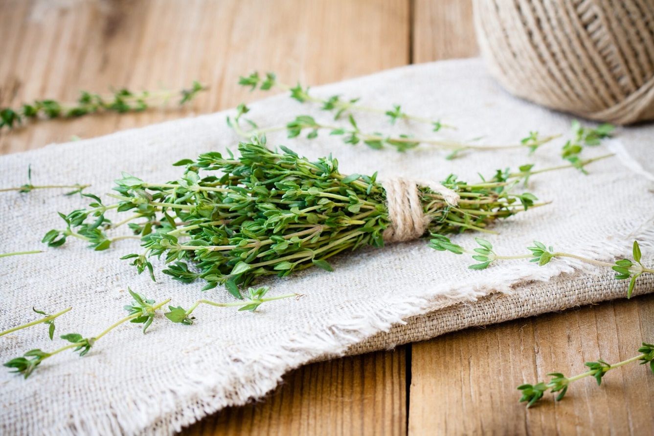 Science says thyme and oregano contain an anti-cancer compound that can help stop the development of tumours