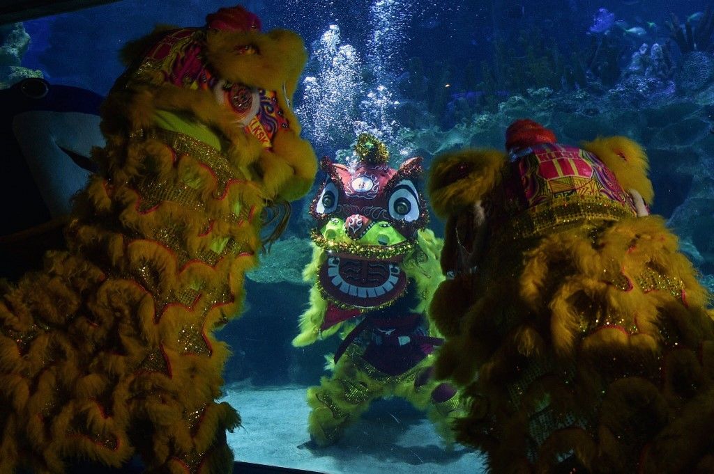 Aquaria KLCC puts on underwater lion dance ahead of Chinese New Year