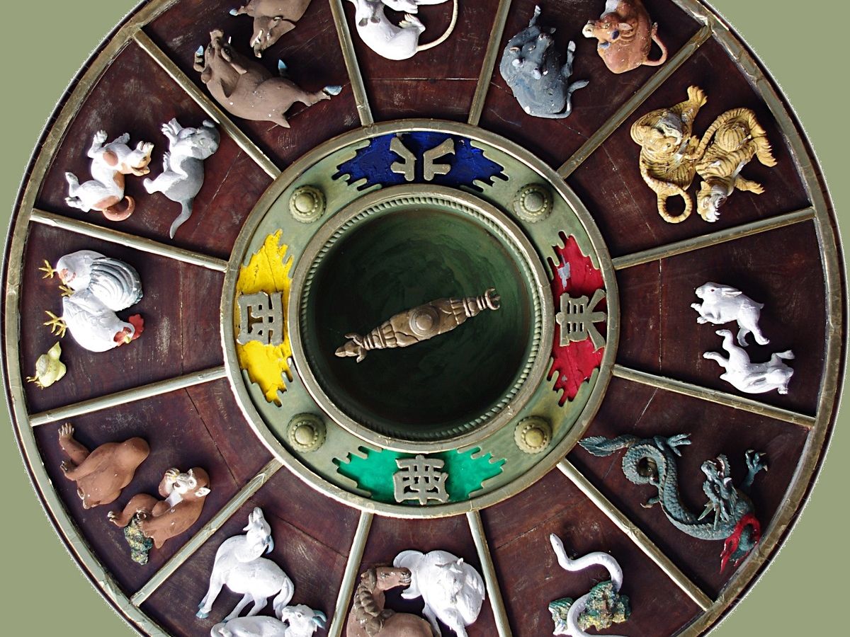 Chinese Zodiac 2022: What will the Year of the Tiger bring you?