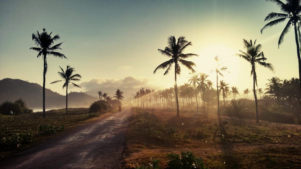 Indonesia drops outdoor mask requirement and pre-departure COVID test