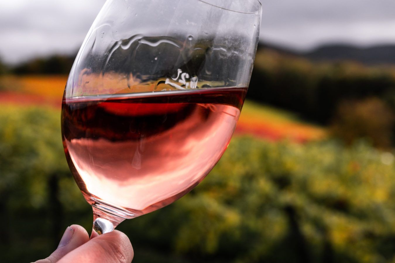 How Rosé wine has rebranded over the years