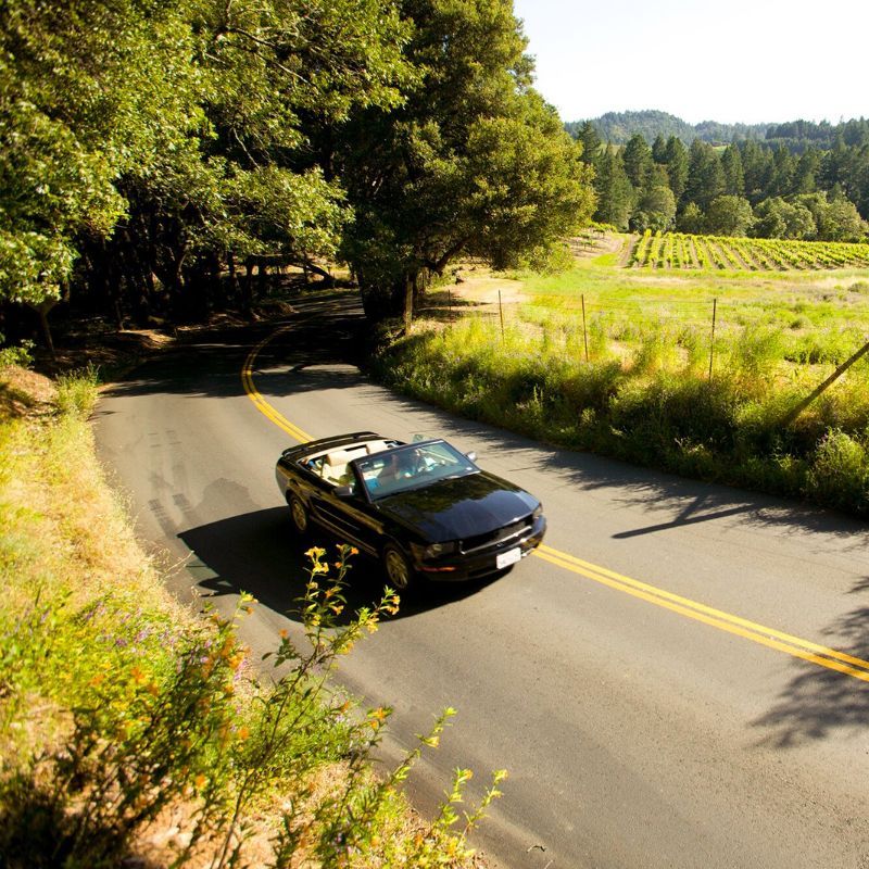 A road trip through California’s top wine regions